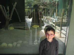 IMG_1271