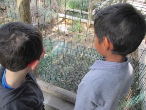 IMG_1273