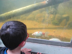 IMG_1276