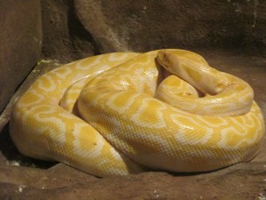 IMG_1308