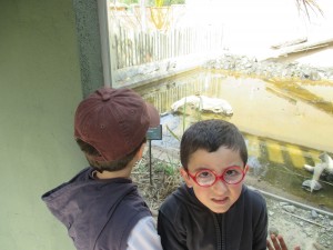 aIMG_1291